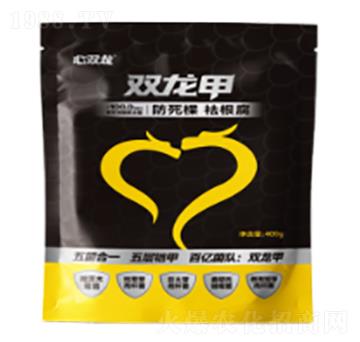 農(nóng)用微生物菌劑-雙龍甲-心雙龍-天山雙龍