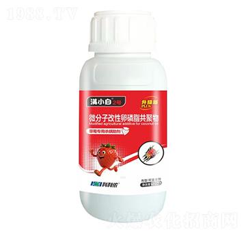 ��ݮ���Ú�������-�MС��2̖-�����r(n��ng)