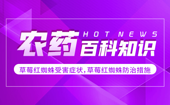 ��ݮ�t֩���ܺ��Y������ݮ�t֩����δ�ʩ