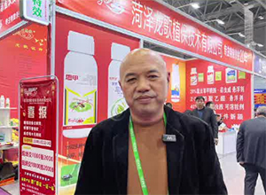 【龍歌植?！孔Ｔ复蠹荫R年大吉、龍馬精神！