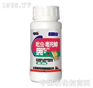 ���r�r��-���x������