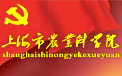 �Ϻ����r�I(y��)�ƌWԺ