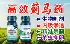 聊城科迪華生物科技有限公司